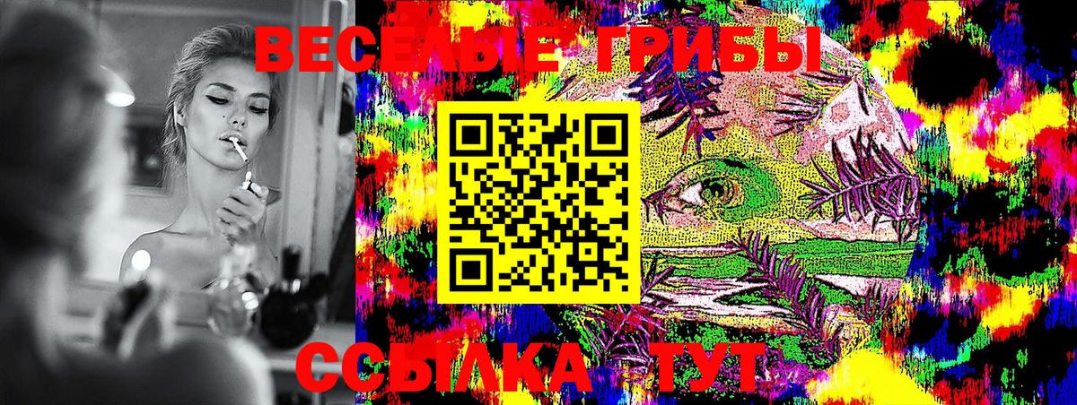 Донской  Галлюциногенные грибы мицелий  Вход с VPN 